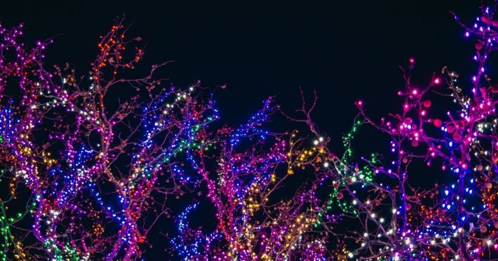 Pecan Grove Holiday Lights